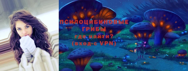 крисы Новодвинск