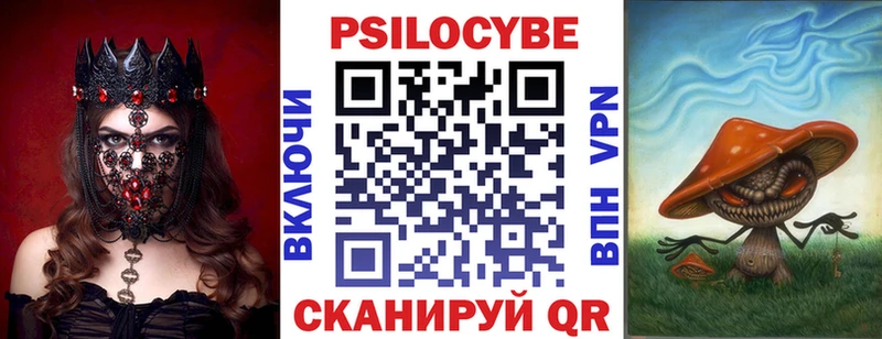 это какой сайт  цены   Скопин  Псилоцибиновые грибы Psilocybe 